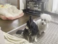 みんなで過ごしたい みんなで過ごしたい