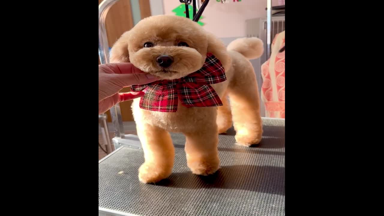 あいるくん♥️